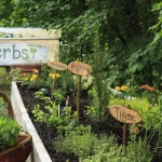 Herb Garden Ideas