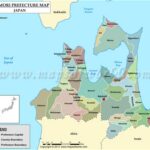 A Shallow Quake, a Small Tsunami, and a Very Fast Advisory